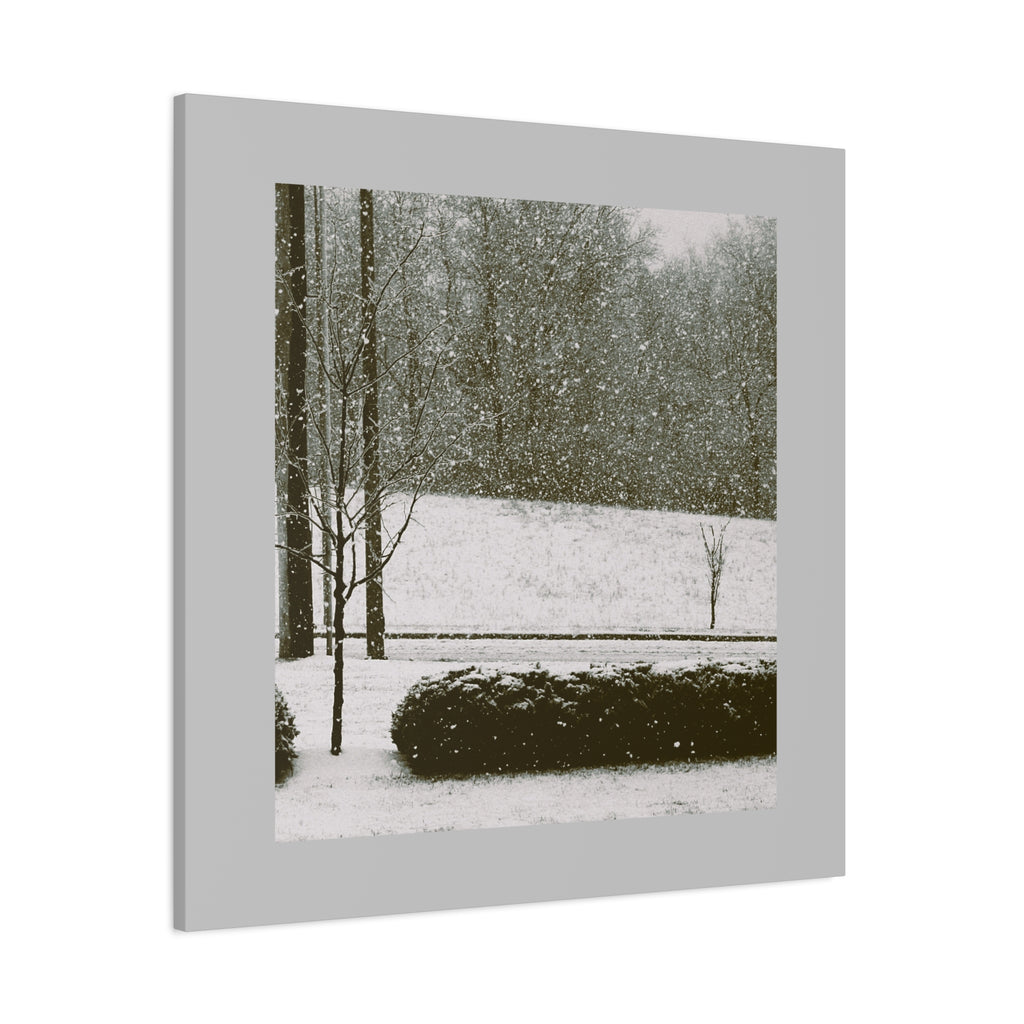 Snowing in The Park -  Landscape Matte Canvas (Stretched)