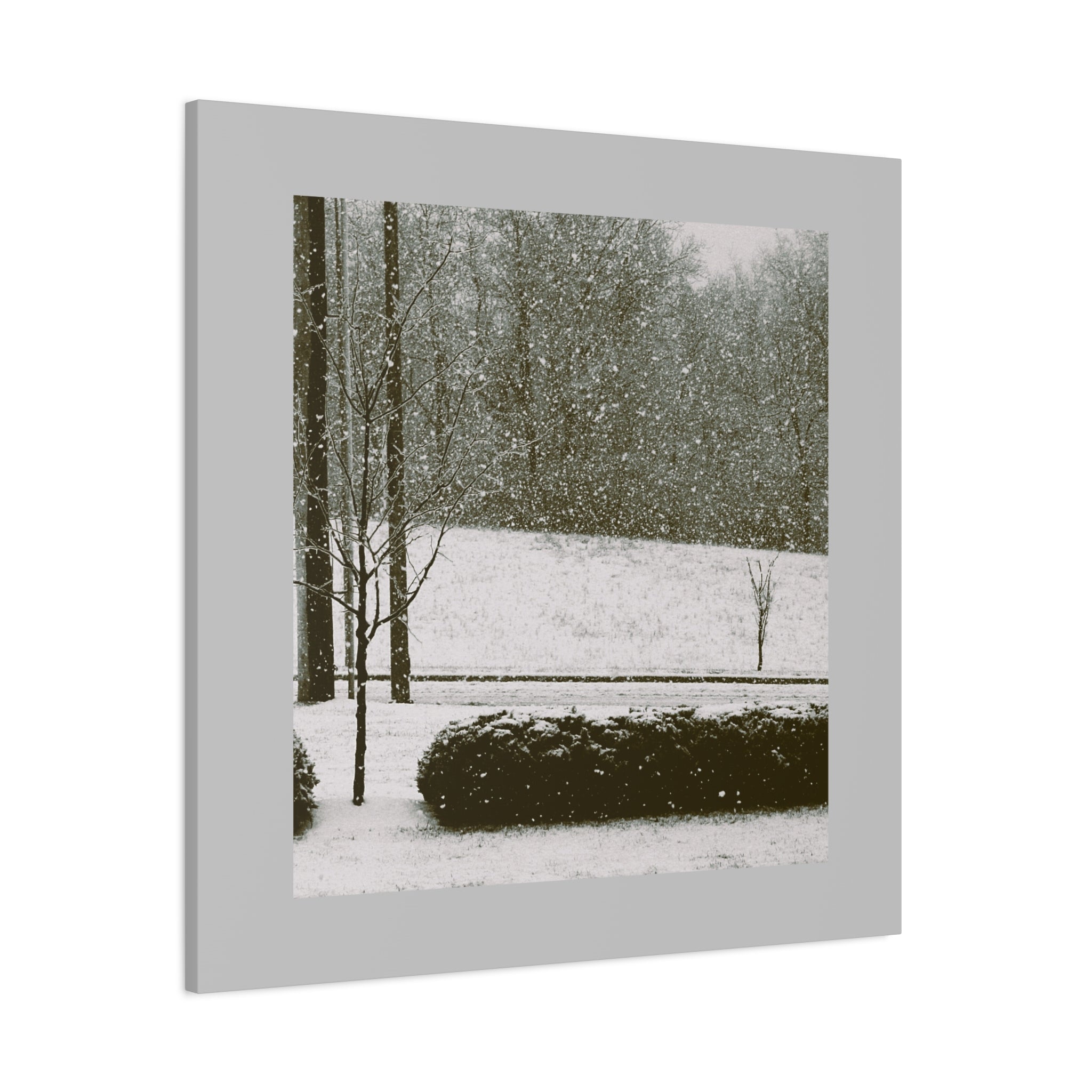 Snowing in The Park -  Landscape Matte Canvas (Stretched)