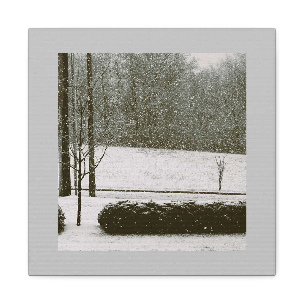 Snowing in The Park -  Landscape Matte Canvas (Stretched)