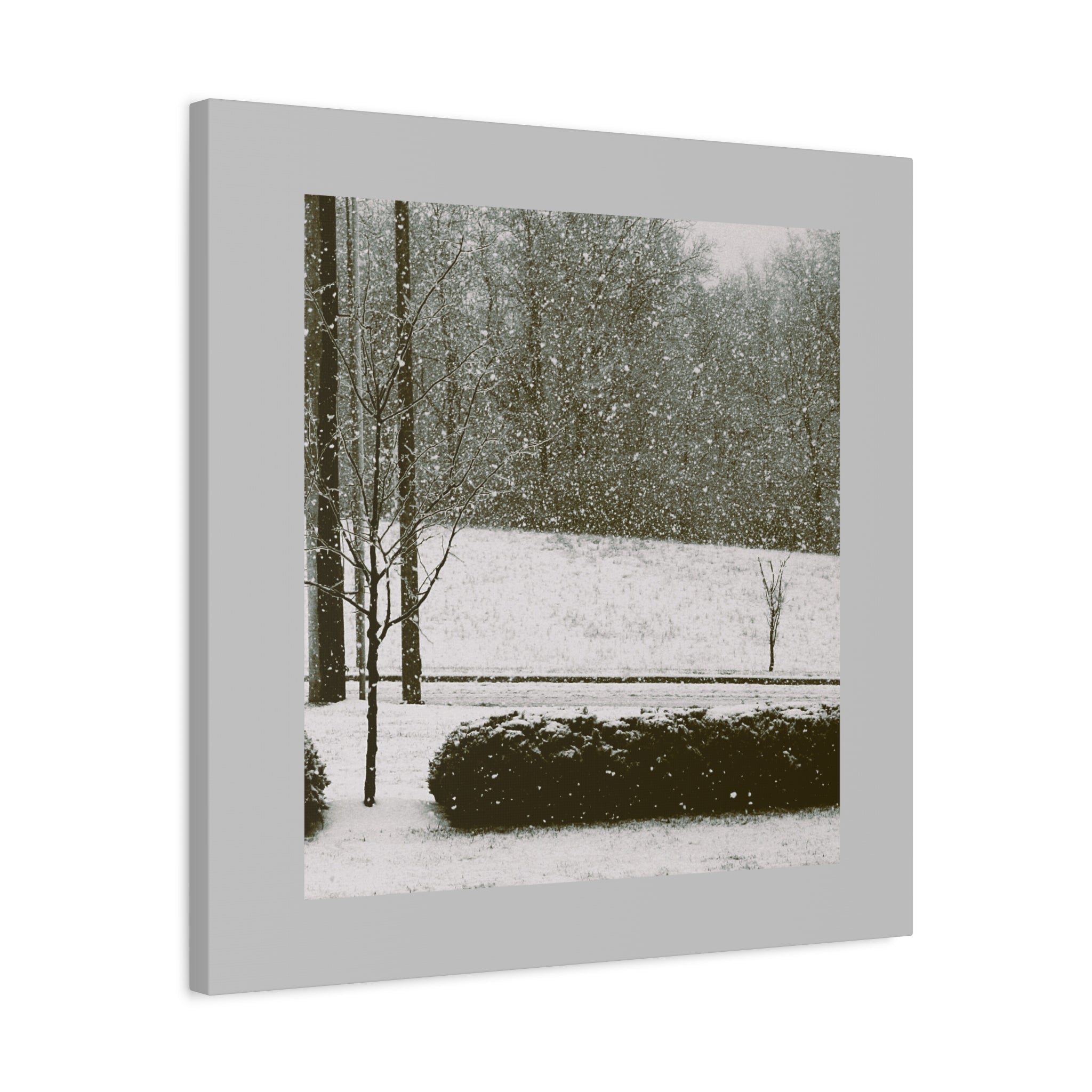 Snowing in The Park -  Landscape Matte Canvas (Stretched)