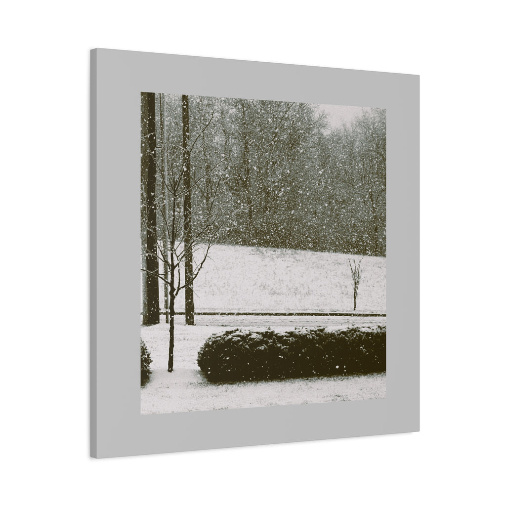 Snowing in The Park -  Landscape Matte Canvas (Stretched)
