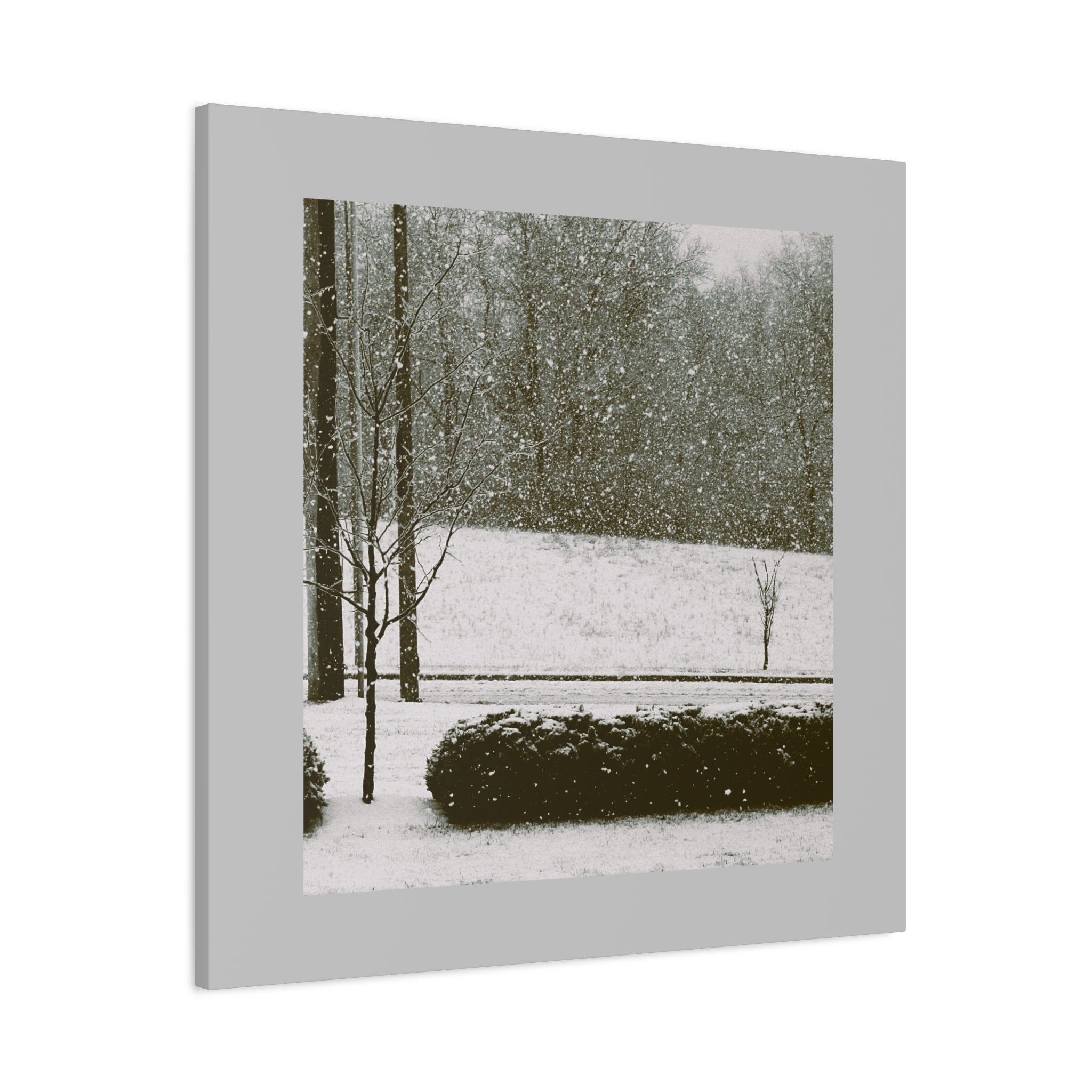 Snowing in The Park -  Landscape Matte Canvas (Stretched)