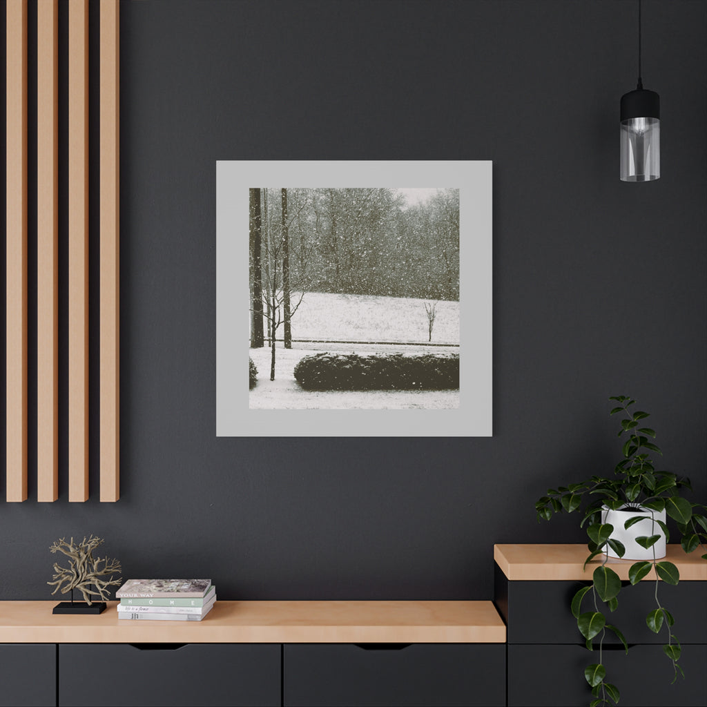 Snowing in The Park -  Landscape Matte Canvas (Stretched)