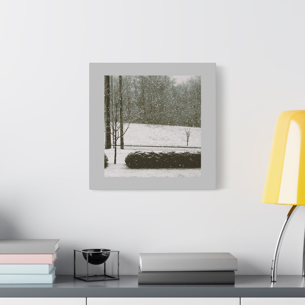 Snowing in The Park -  Landscape Matte Canvas (Stretched)