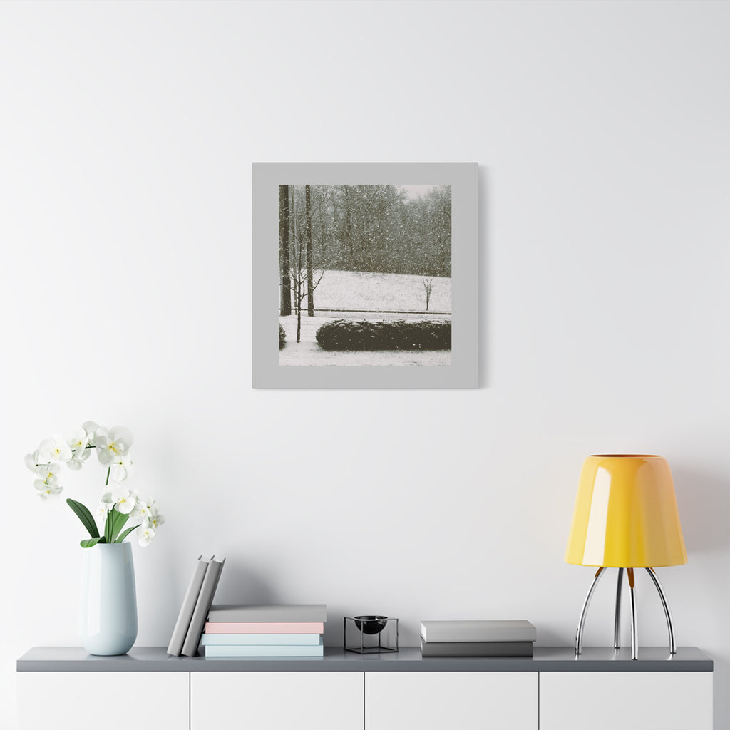 Snowing in The Park -  Landscape Matte Canvas (Stretched)
