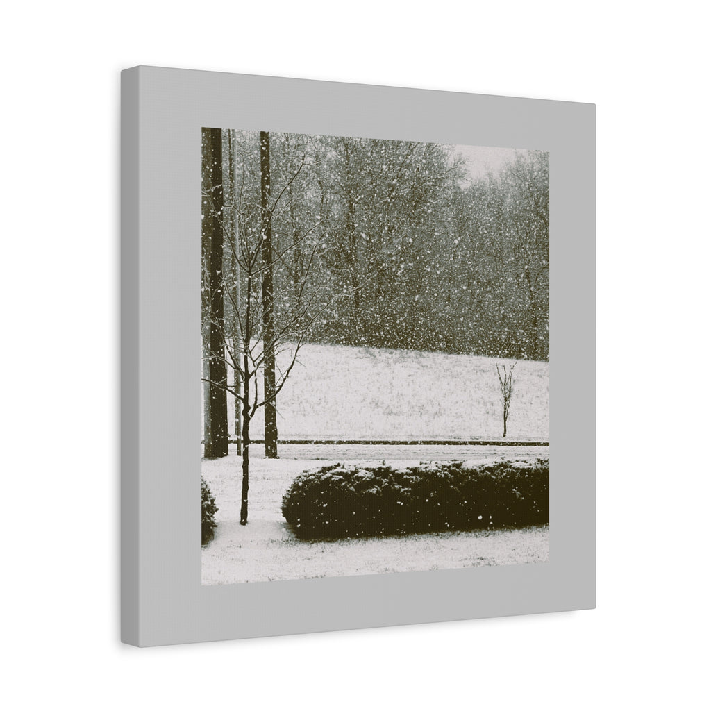 Snowing in The Park -  Landscape Matte Canvas (Stretched)