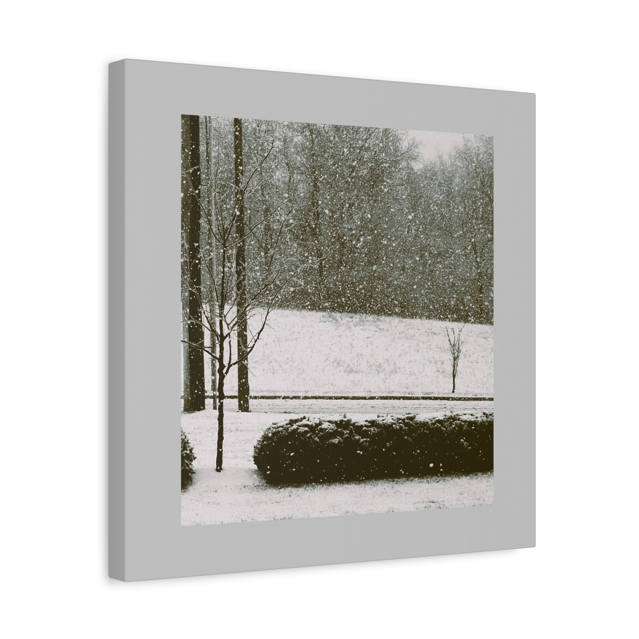 Snowing in The Park -  Landscape Matte Canvas (Stretched)