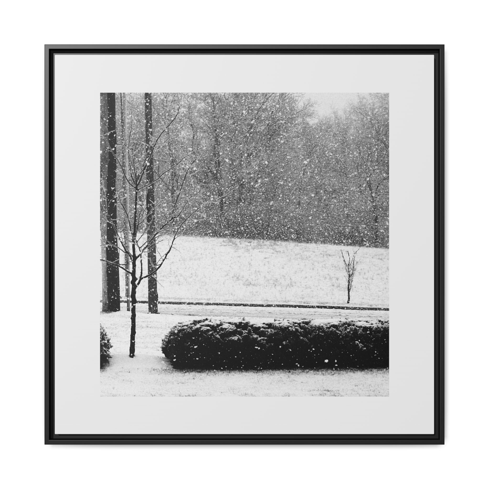 Framed Snowing in the Park - Framed Matte Canvas Print — Black & White Snow Landscape